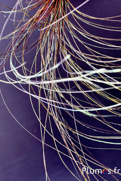 Ciondolo filo pavone - 15-28 cm - oro azteco-verde naturale